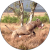 paul one profile picture